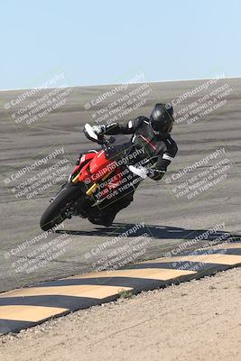 media/Oct-13-2025-Moto Forza (Mon) [[a66d839500]]/4-C Group/Session 2 (Bowl)/